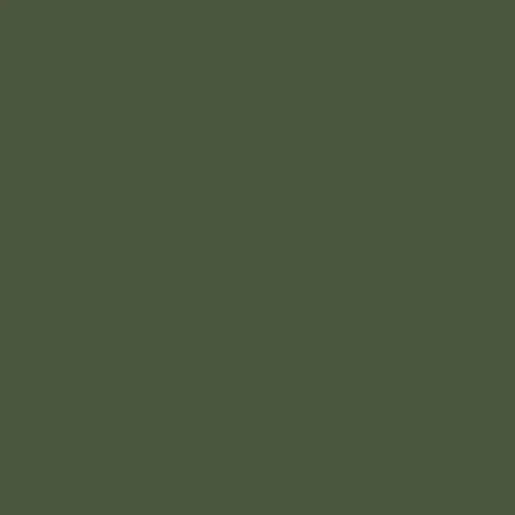 RAL 6003 Olivgrün hausturen turfarben ral-farben ral-6003-olivgruen texture