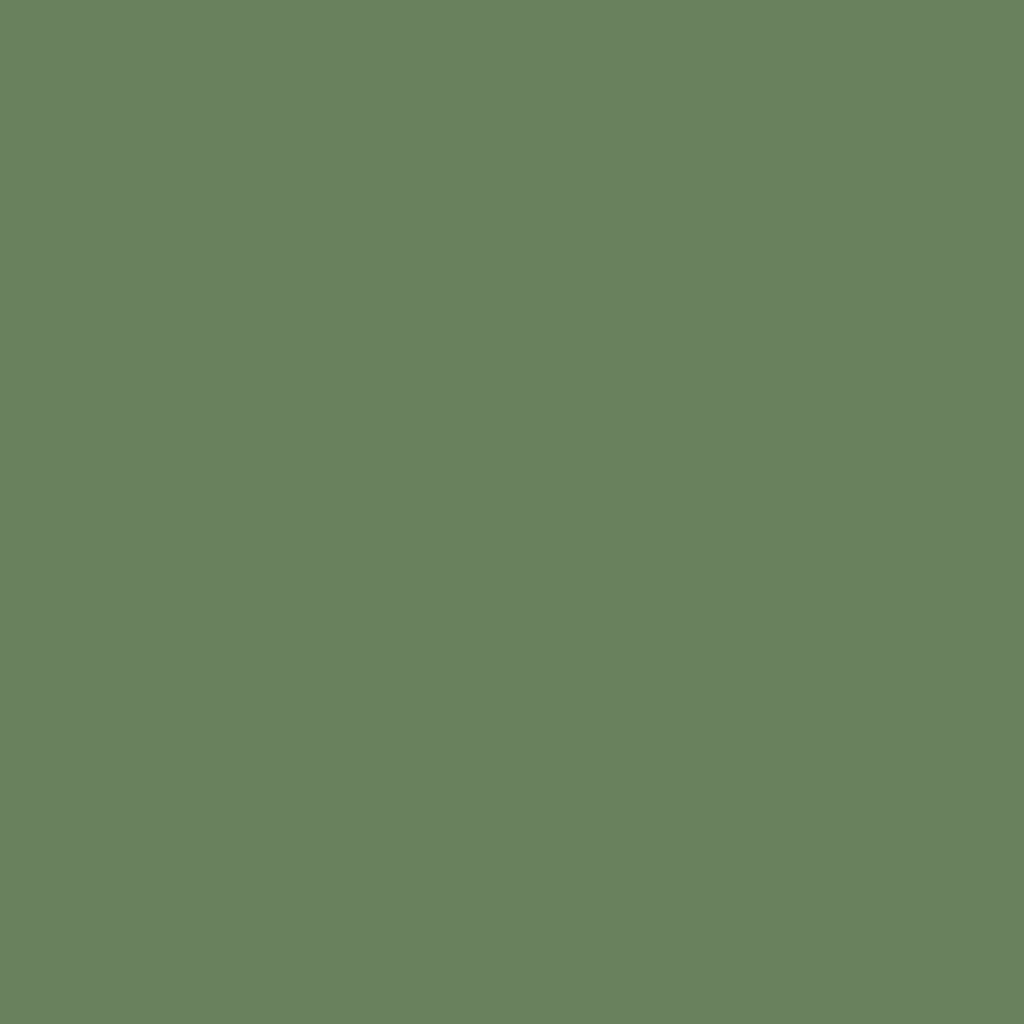 RAL 6011 Resedagrün hausturen turfarben ral-farben ral-6011-resedagruen texture