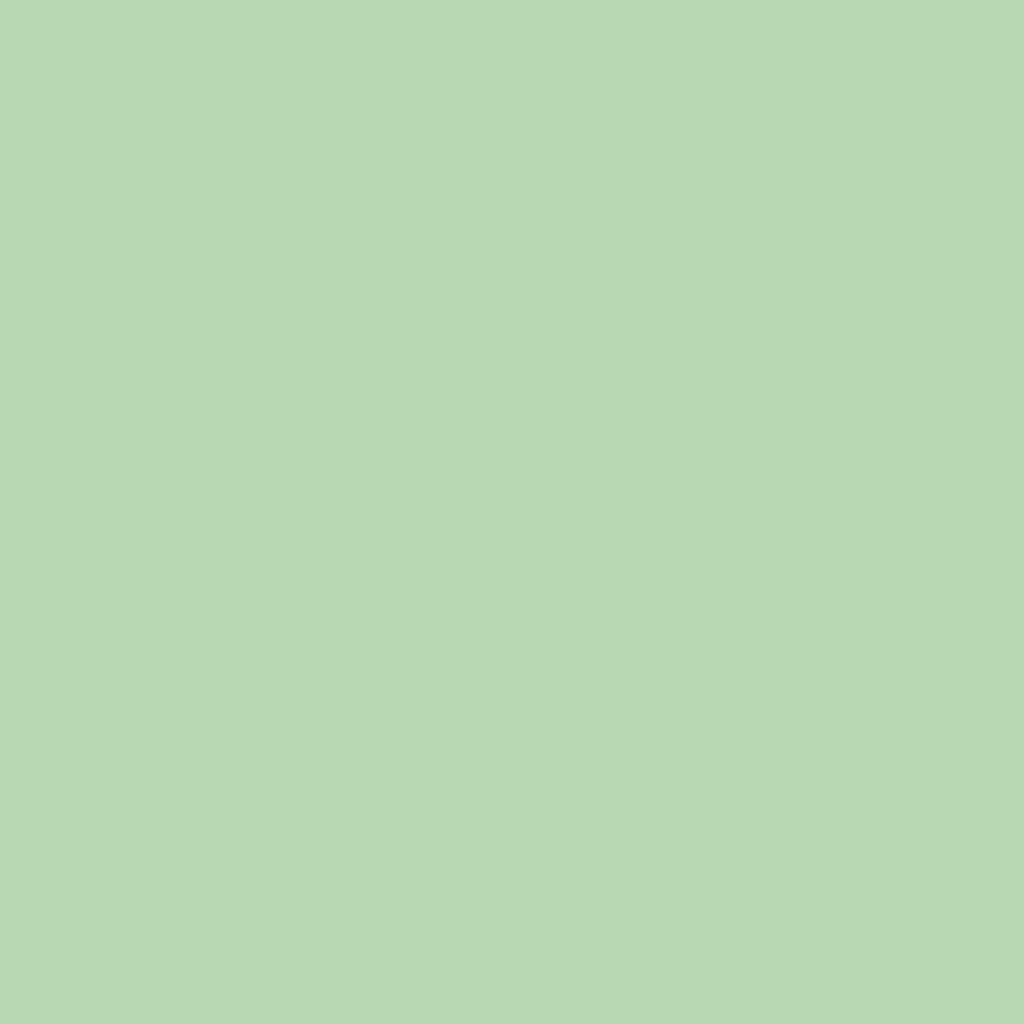 RAL 6019 Weißgrün hausturen turfarben ral-farben ral-6019-weissgruen texture