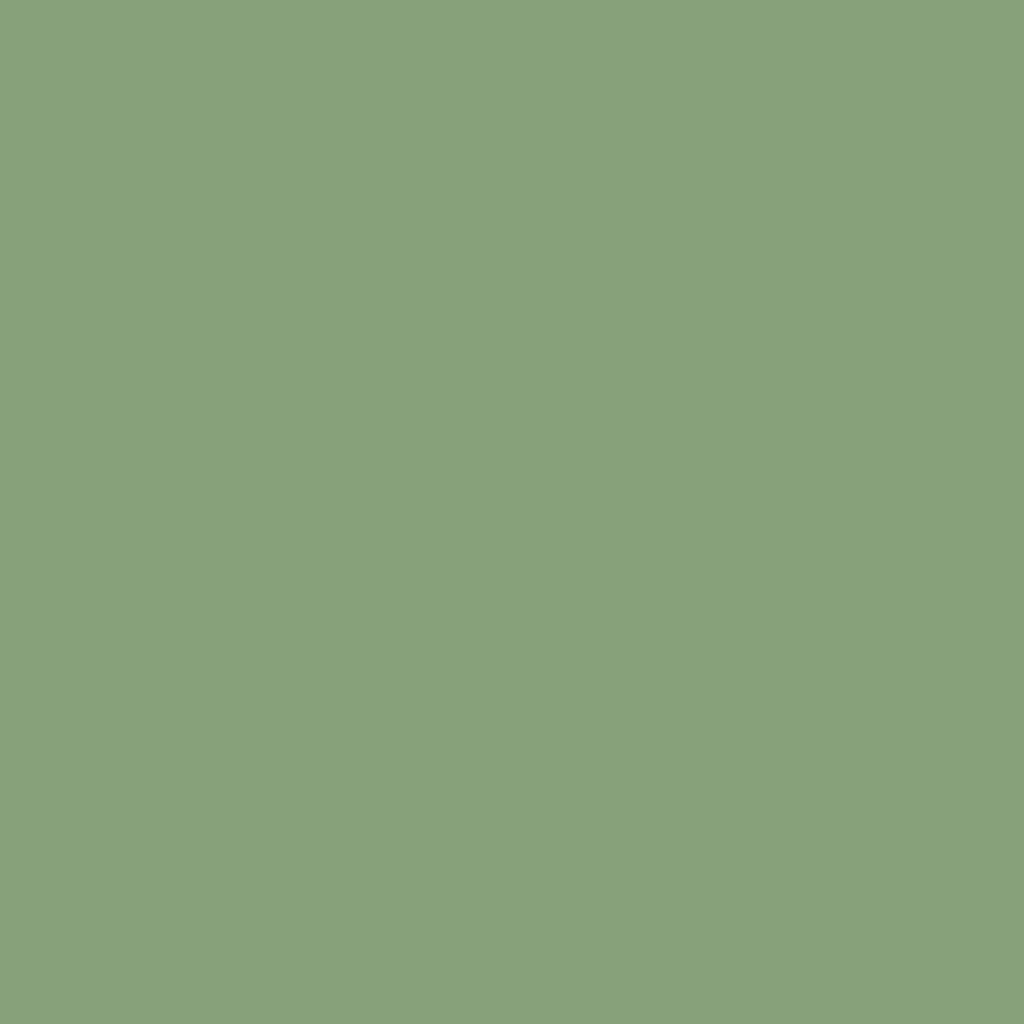 RAL 6021 Blassgrün hausturen turfarben ral-farben ral-6021-blassgruen texture