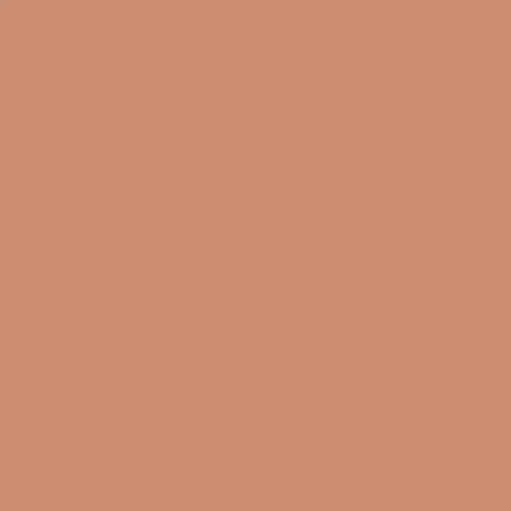 RAL 3012 Beigerot hausturen turfarben ral-farben ral-3012-beigerot texture
