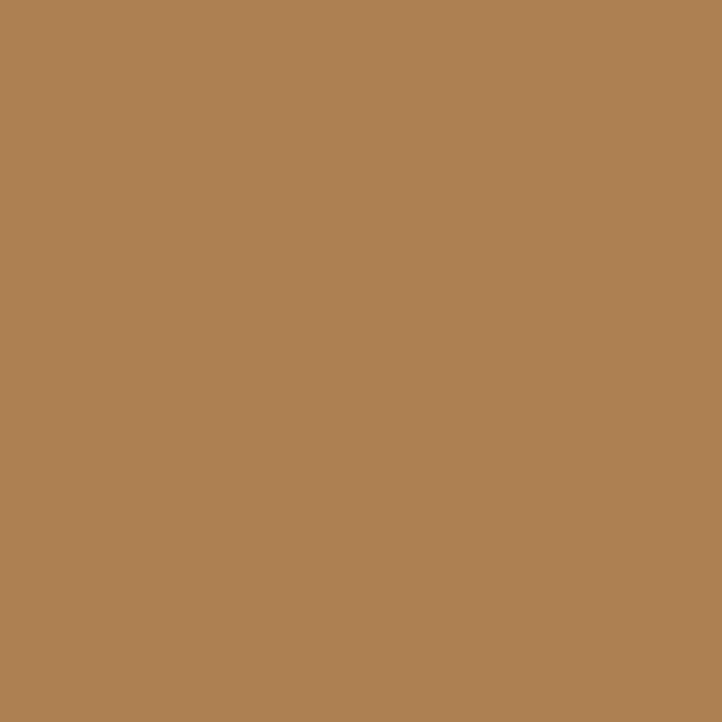 RAL 1011 Braunbeige hausturen turfarben ral-farben ral-1011-braunbeige texture