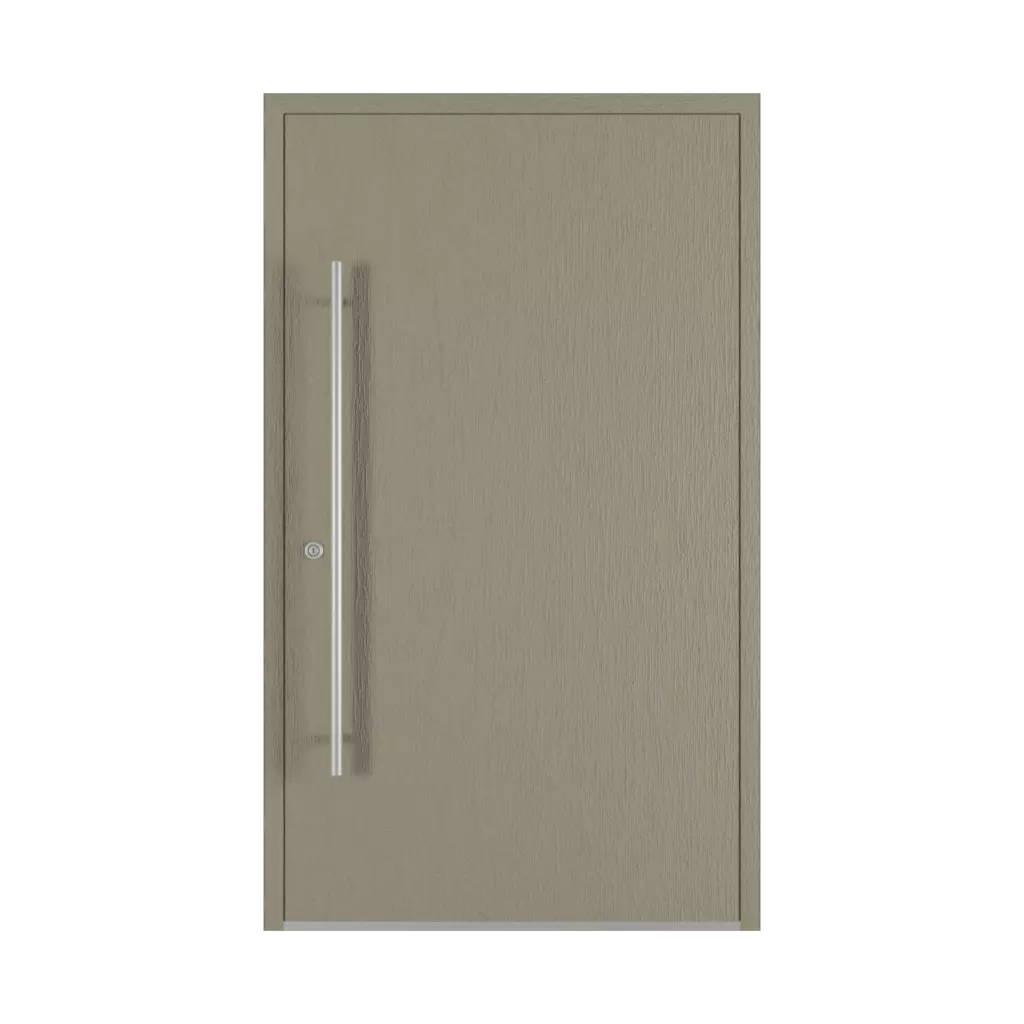 Betongrau hausturen modelle dindecor sk06-grey  